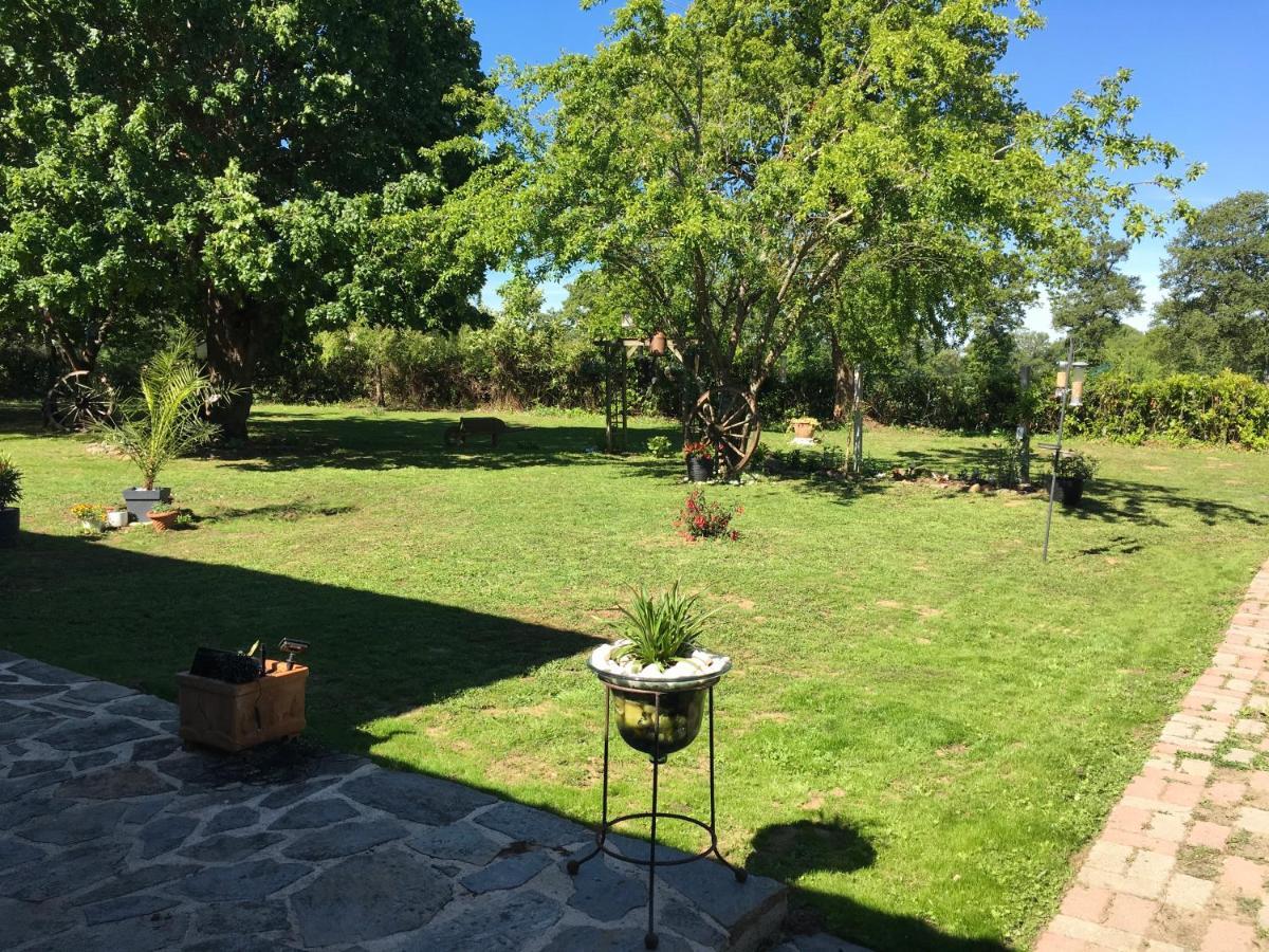 Bed and Breakfast Gorilla’s Nest Nouic Esterno foto